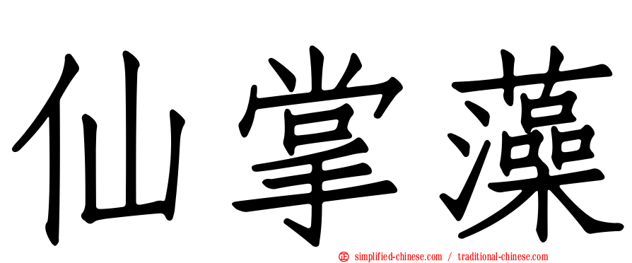 仙掌藻