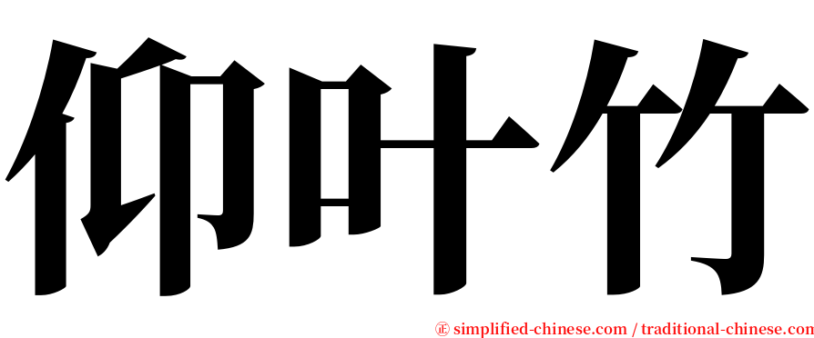 仰叶竹 serif font