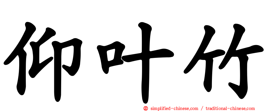 仰叶竹