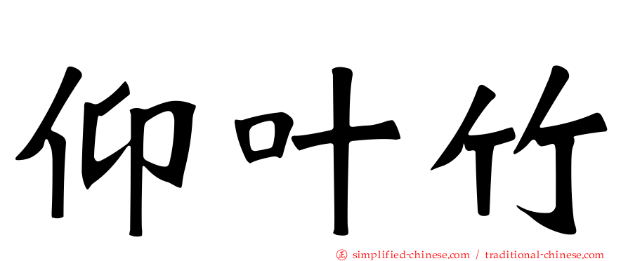 仰叶竹