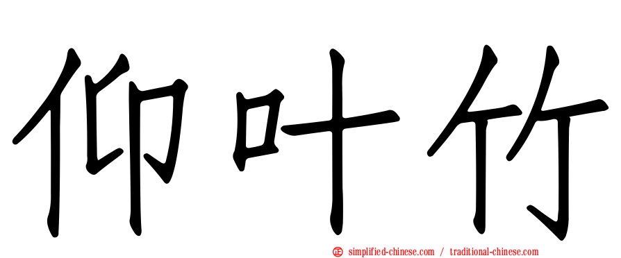 仰叶竹