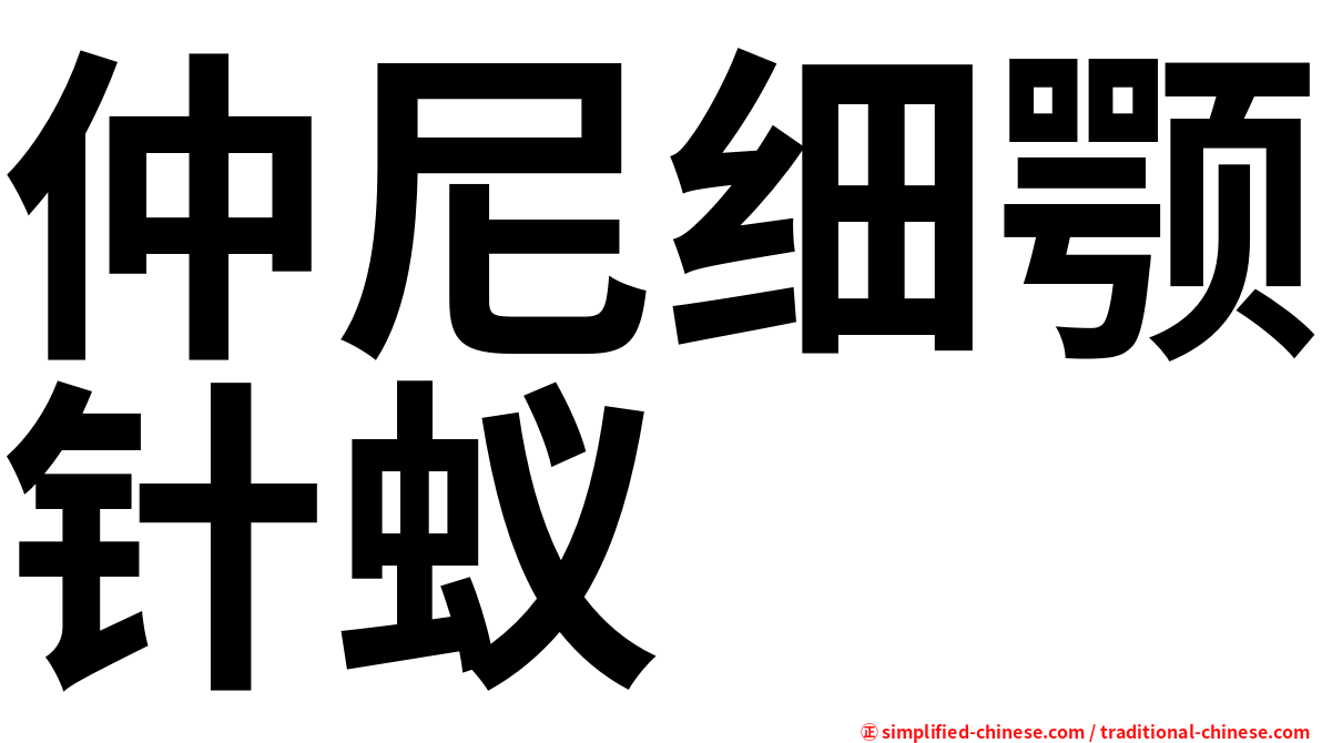 仲尼细颚针蚁