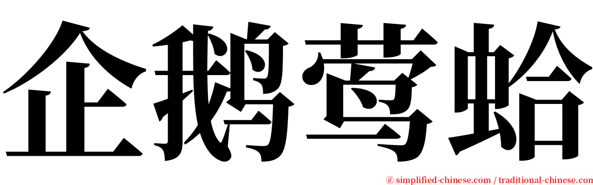 企鹅莺蛤 serif font