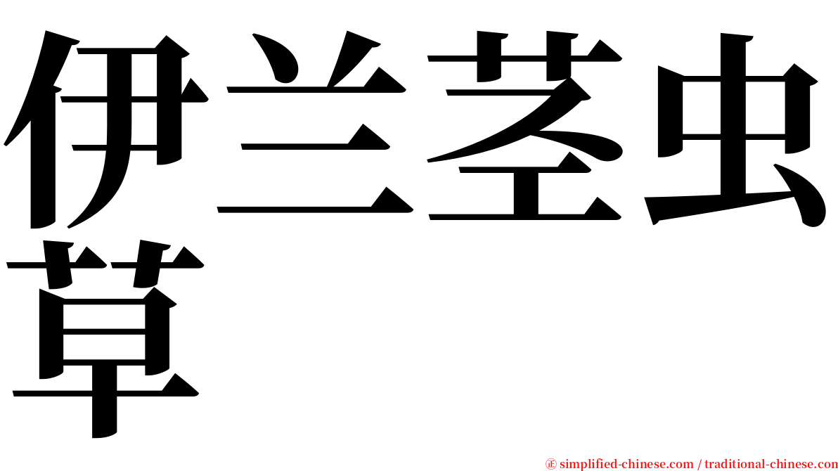 伊兰茎虫草 serif font