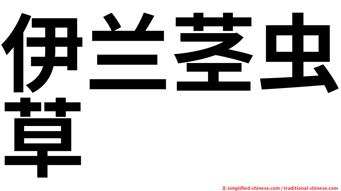 伊兰茎虫草