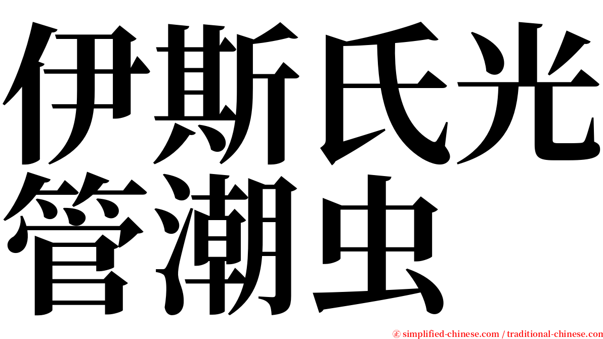 伊斯氏光管潮虫 serif font
