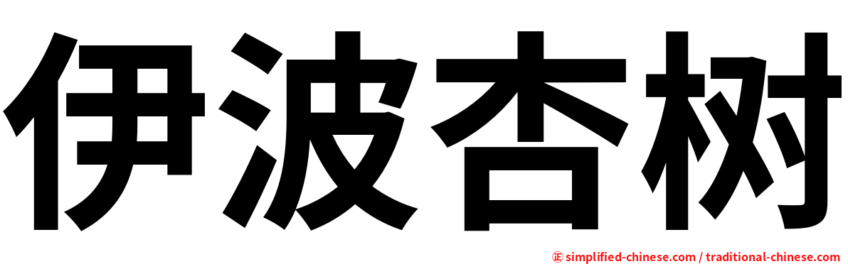 伊波杏树