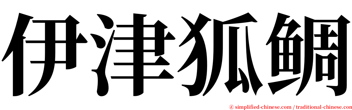 伊津狐鲷 serif font