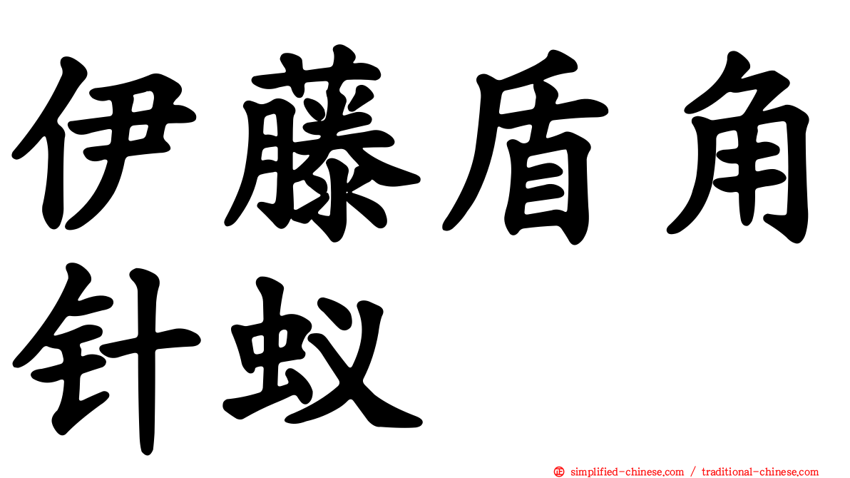伊藤盾角针蚁