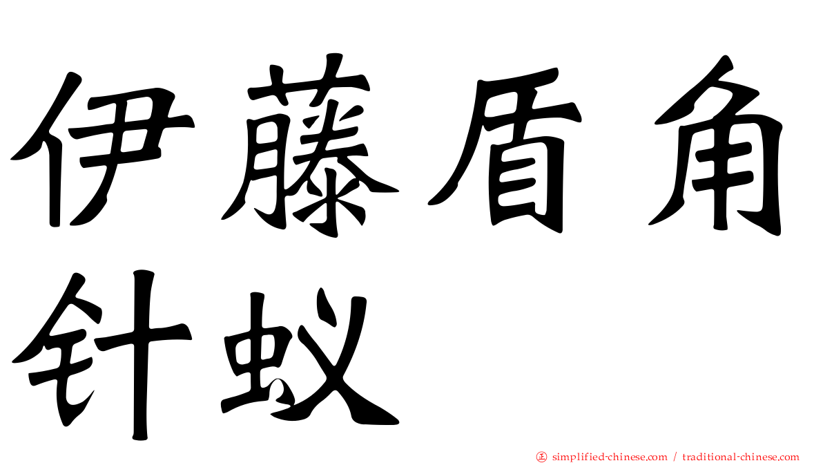 伊藤盾角针蚁
