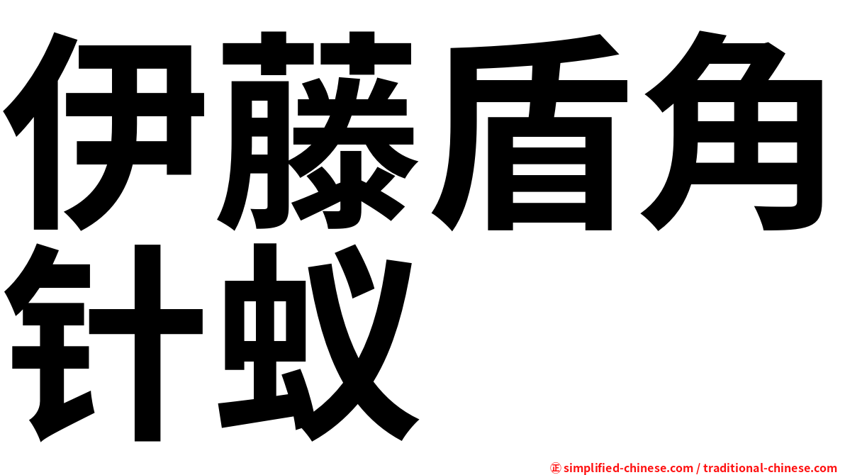 伊藤盾角针蚁