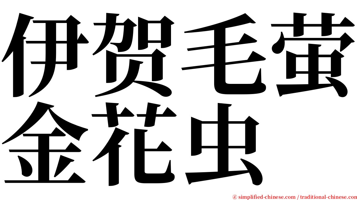 伊贺毛萤金花虫 serif font