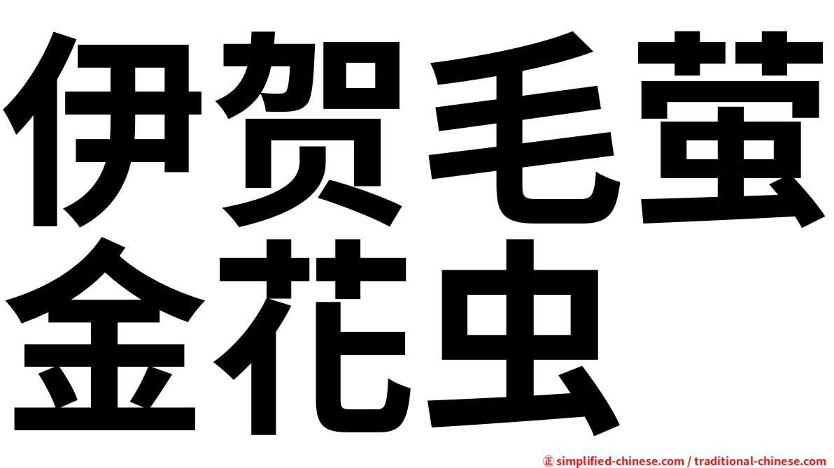 伊贺毛萤金花虫