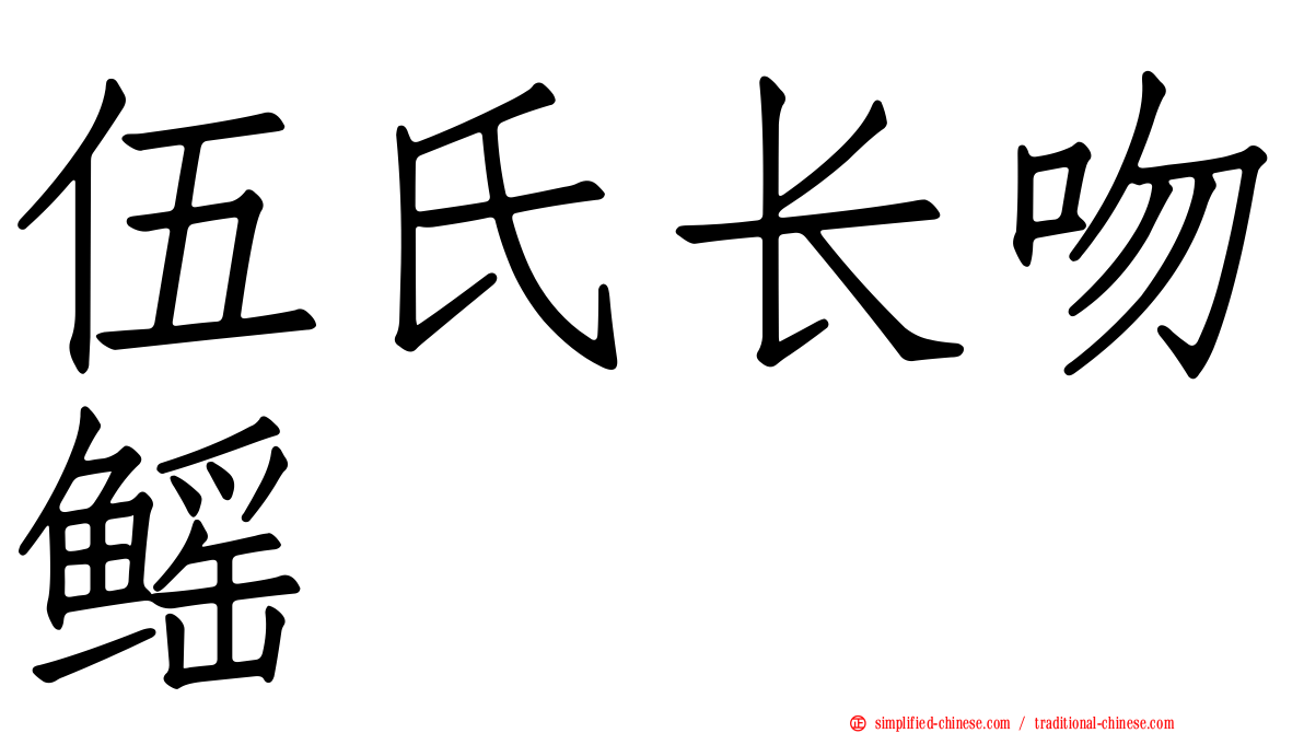 伍氏长吻鳐