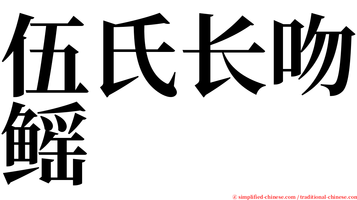 伍氏长吻鳐 serif font