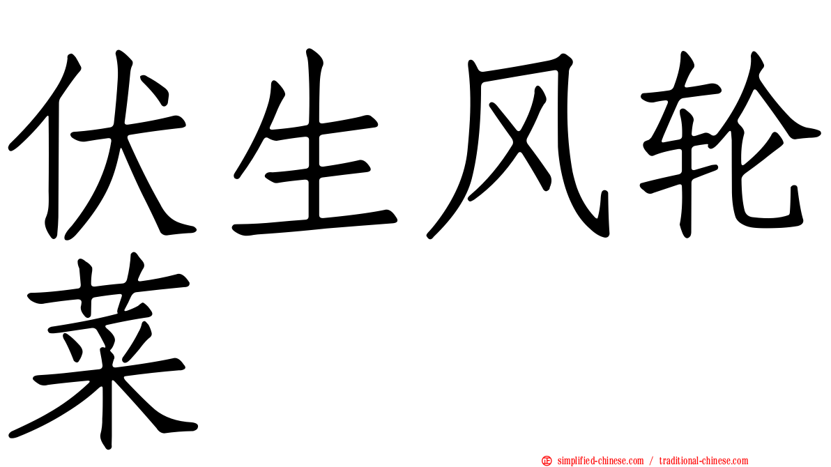 伏生风轮菜