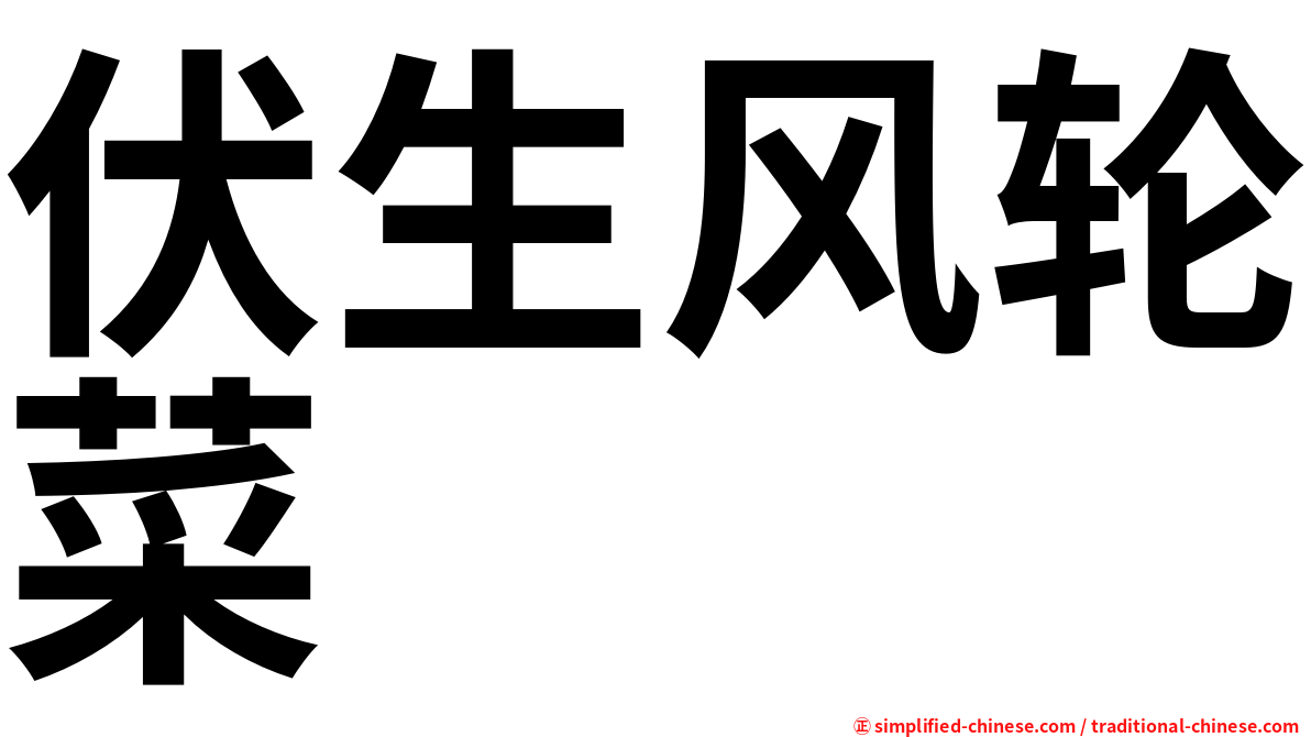 伏生风轮菜