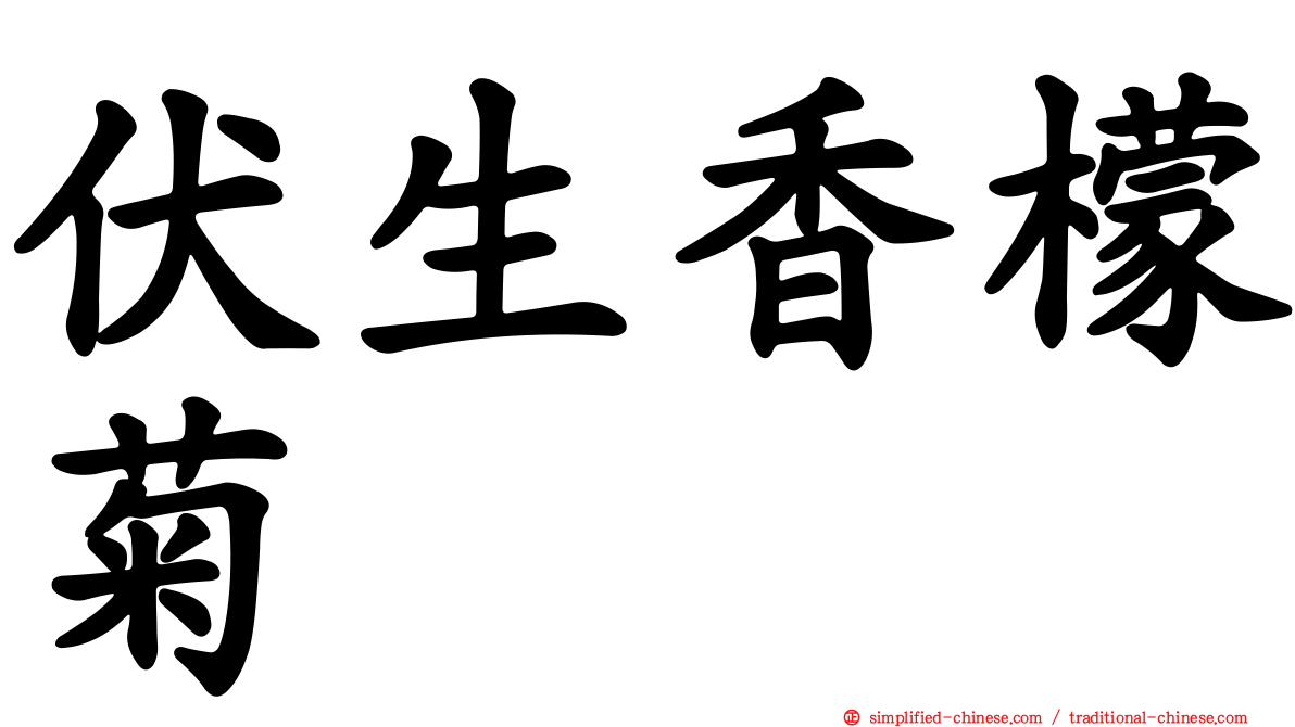 伏生香檬菊