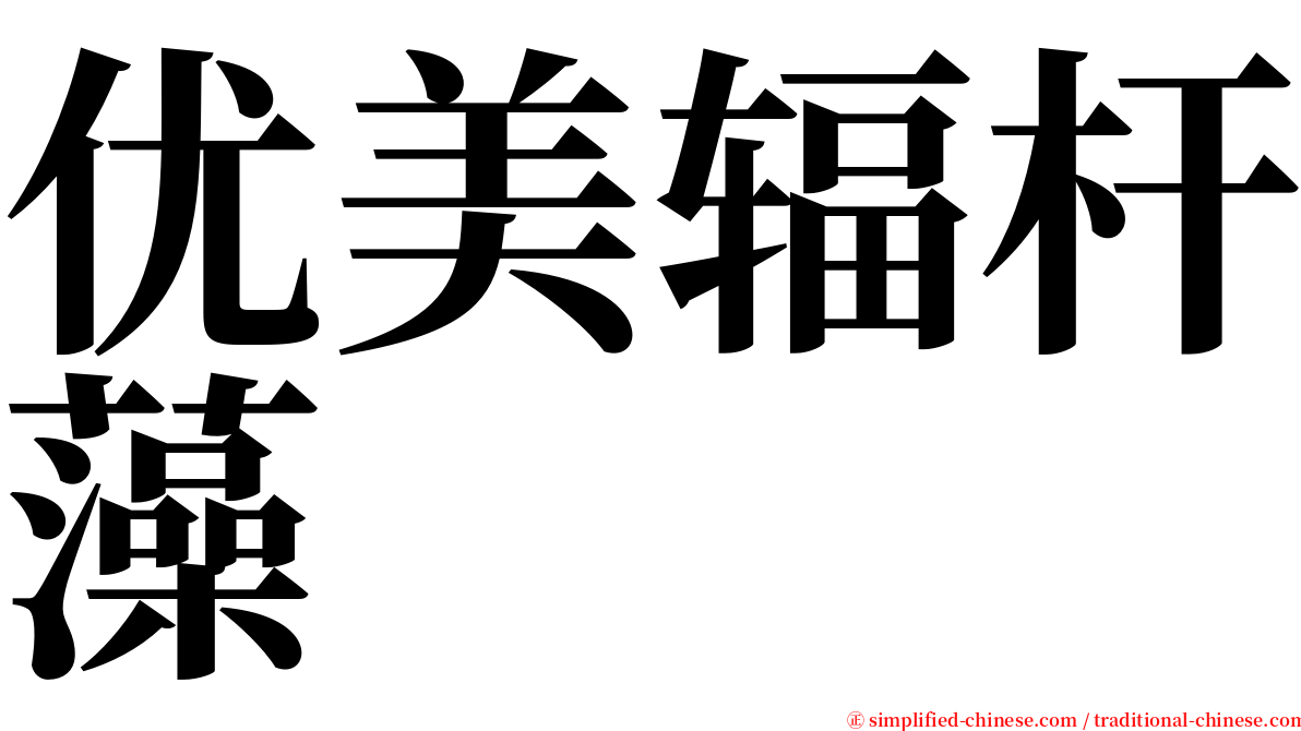 优美辐杆藻 serif font