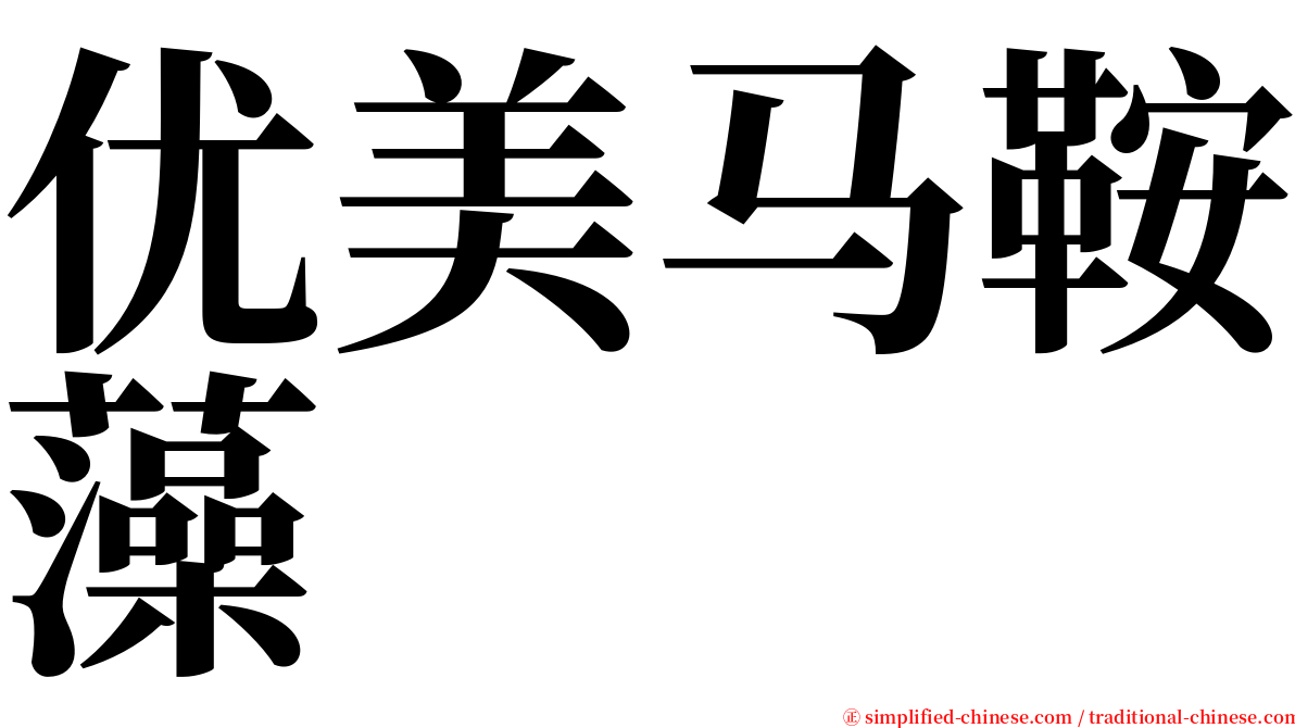 优美马鞍藻 serif font