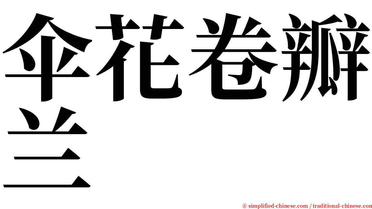 伞花卷瓣兰 serif font