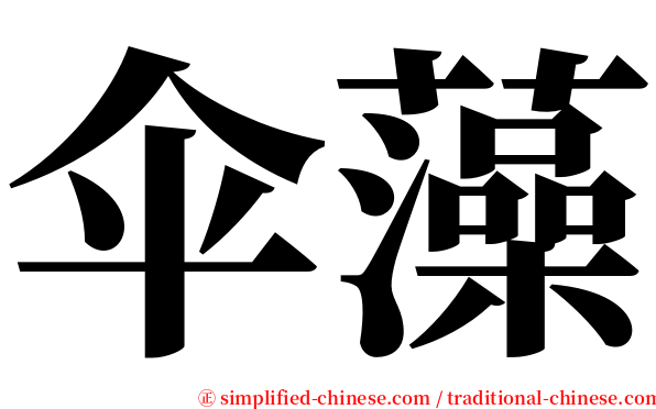 伞藻 serif font
