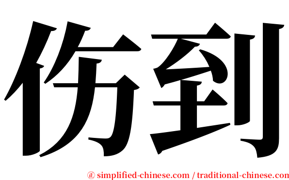 伤到 serif font