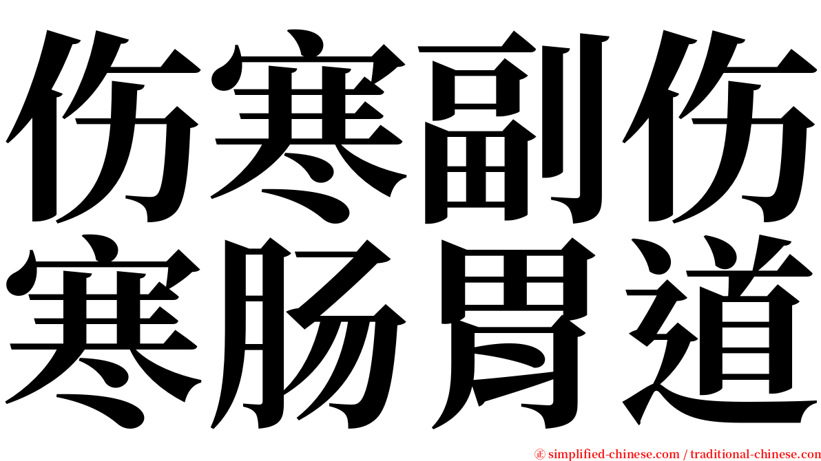 伤寒副伤寒肠胃道 serif font
