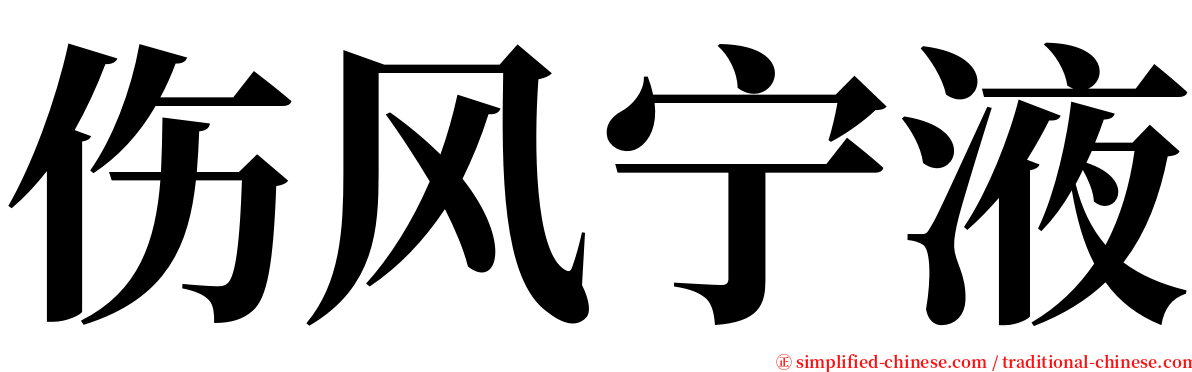 伤风宁液 serif font