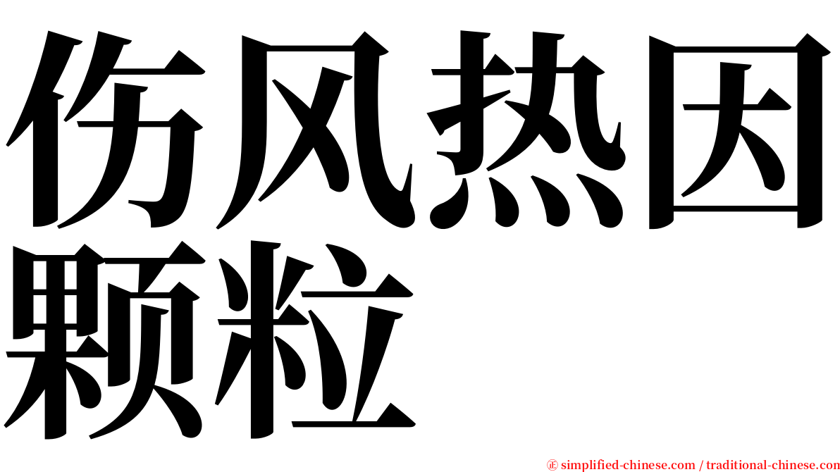 伤风热因颗粒 serif font