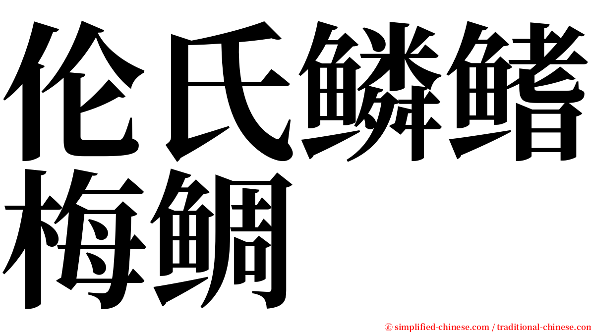 伦氏鳞鳍梅鲷 serif font