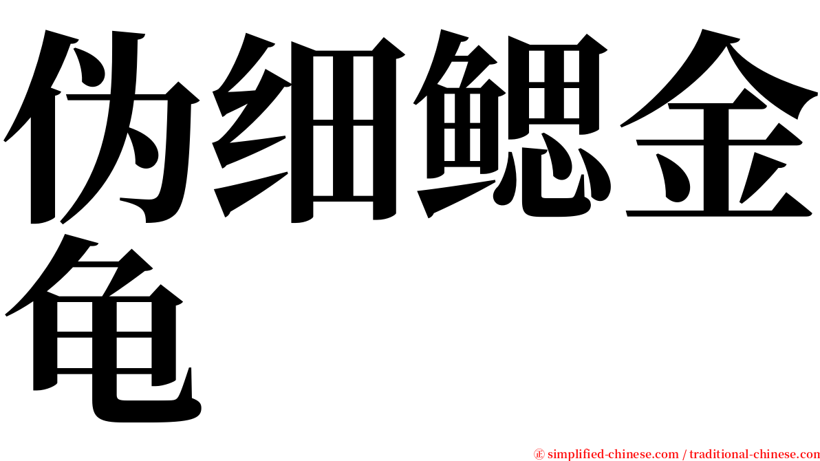伪细鳃金龟 serif font