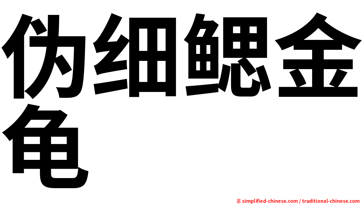 伪细鳃金龟
