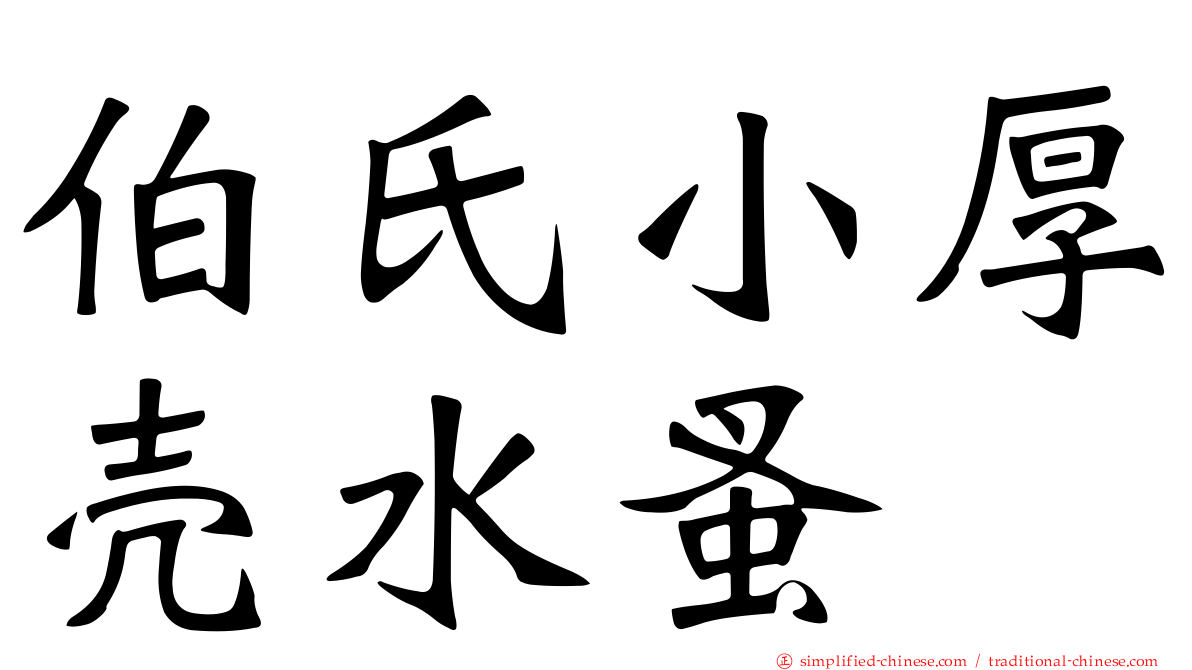 伯氏小厚壳水蚤