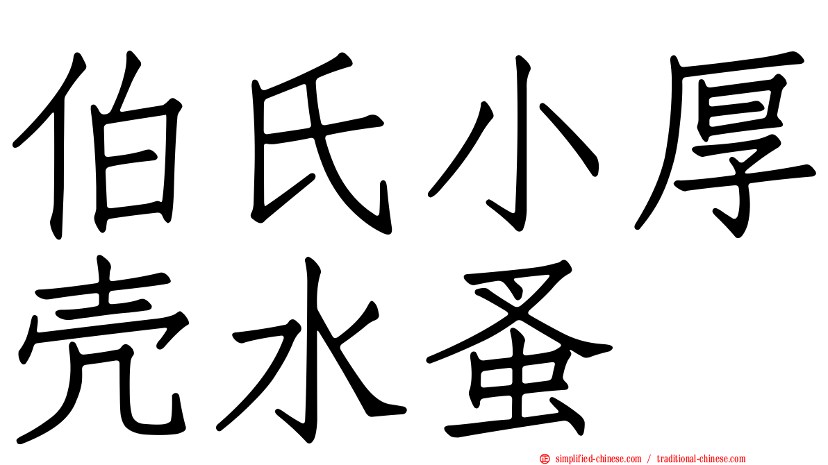 伯氏小厚壳水蚤