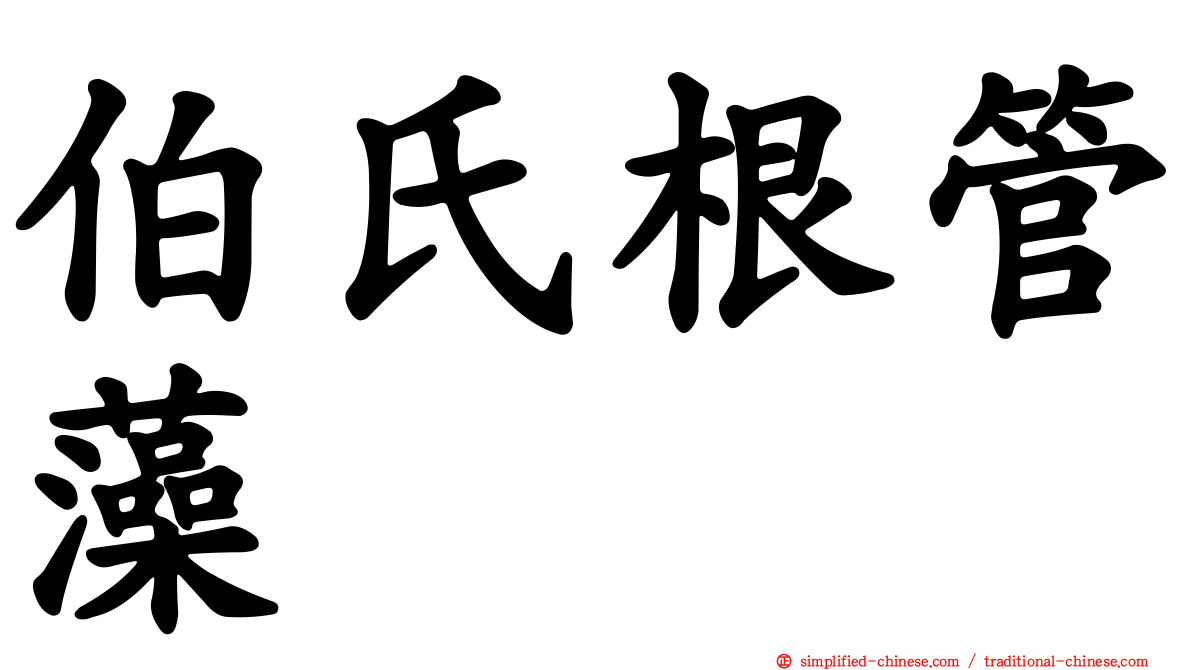 伯氏根管藻