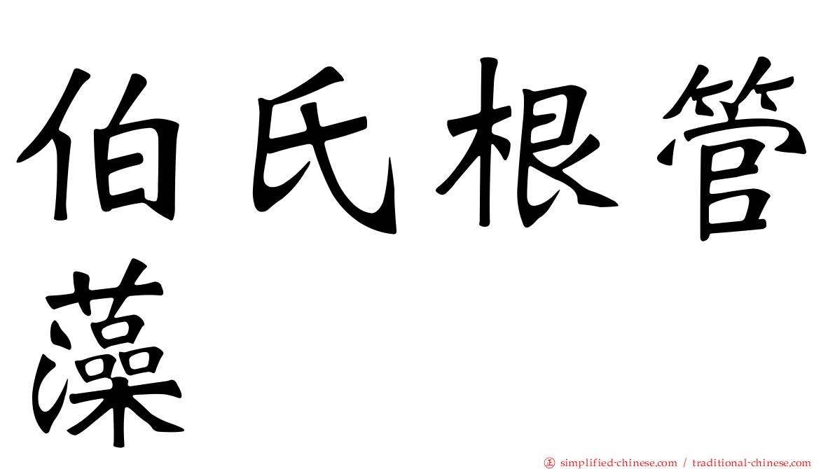 伯氏根管藻