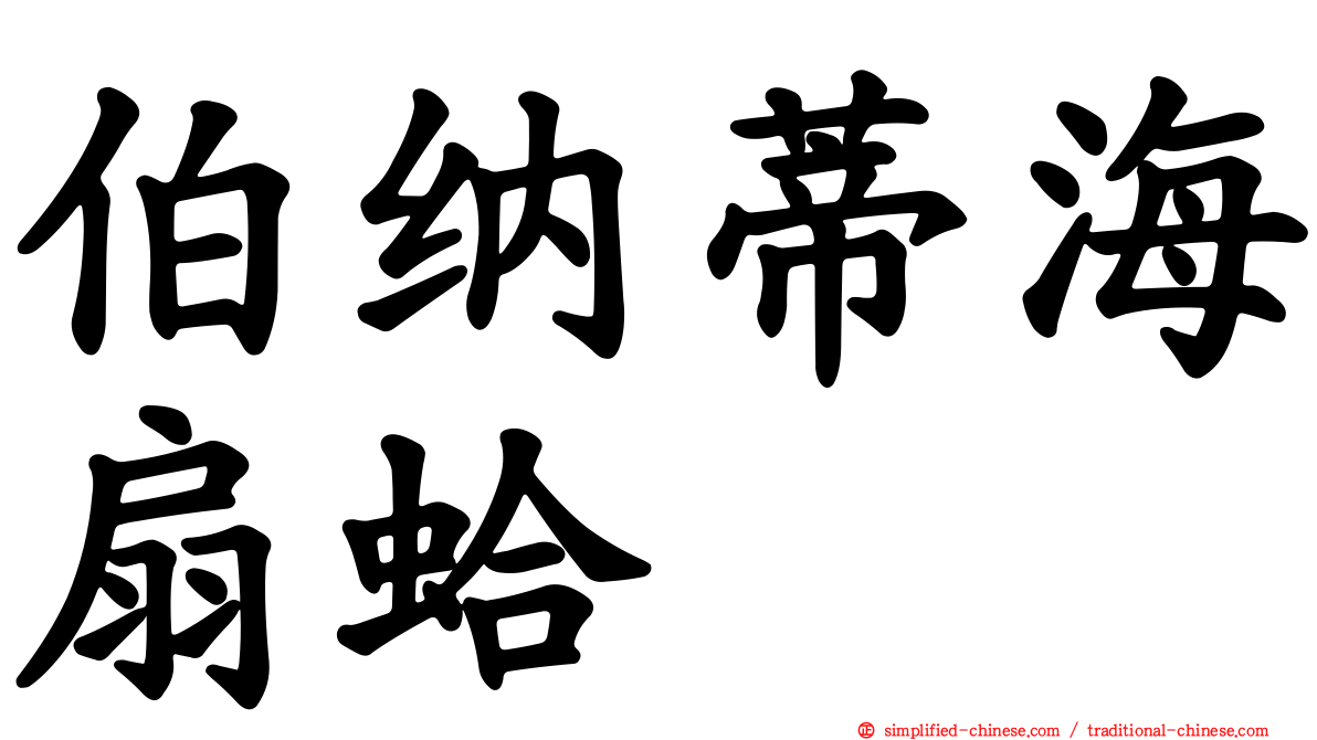 伯纳蒂海扇蛤