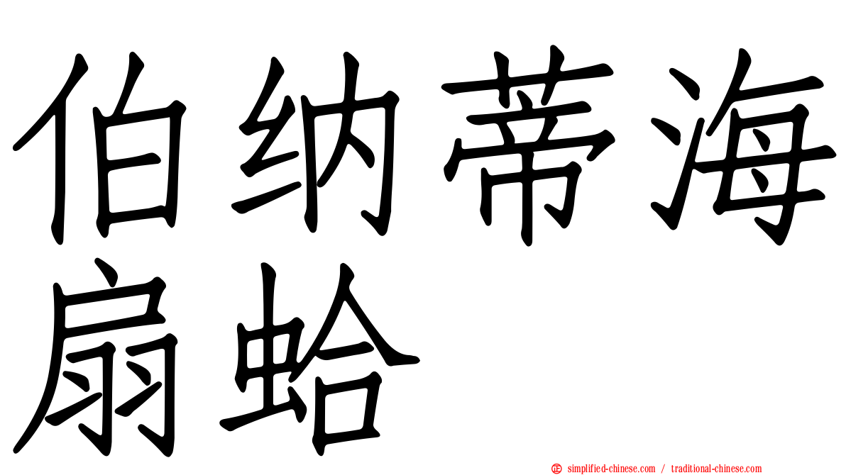 伯纳蒂海扇蛤