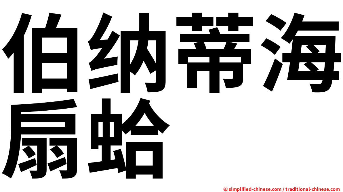 伯纳蒂海扇蛤