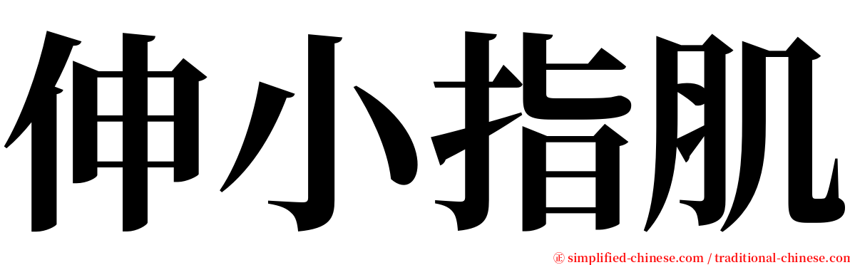 伸小指肌 serif font