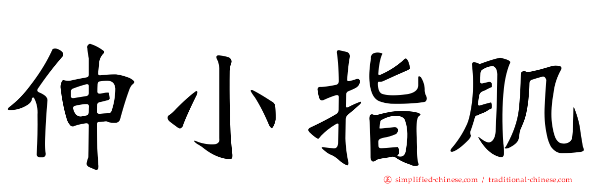 伸小指肌