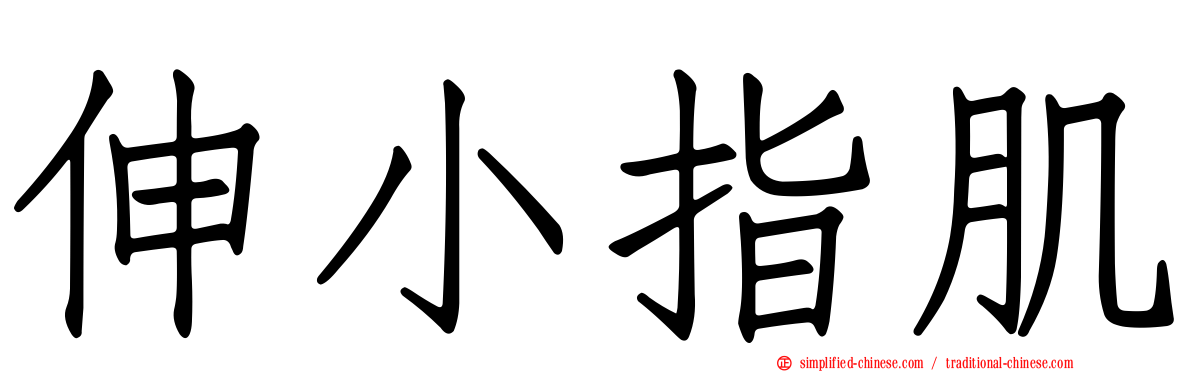 伸小指肌