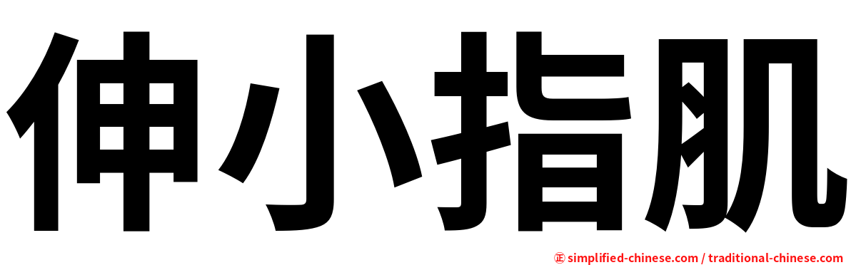 伸小指肌