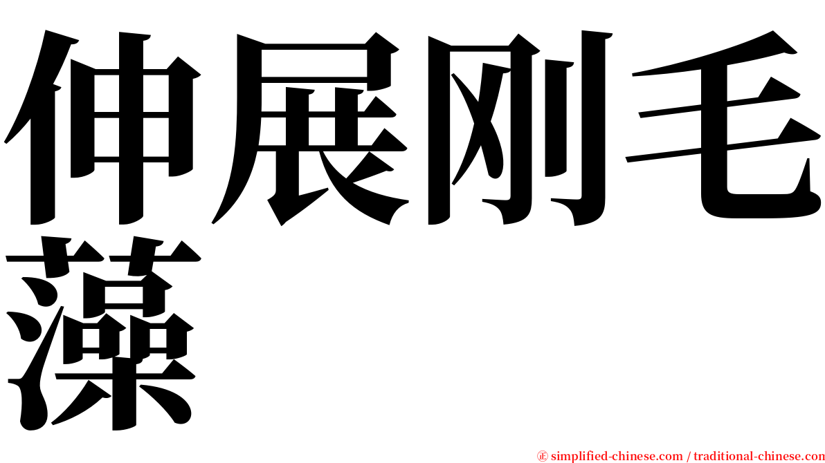 伸展刚毛藻 serif font