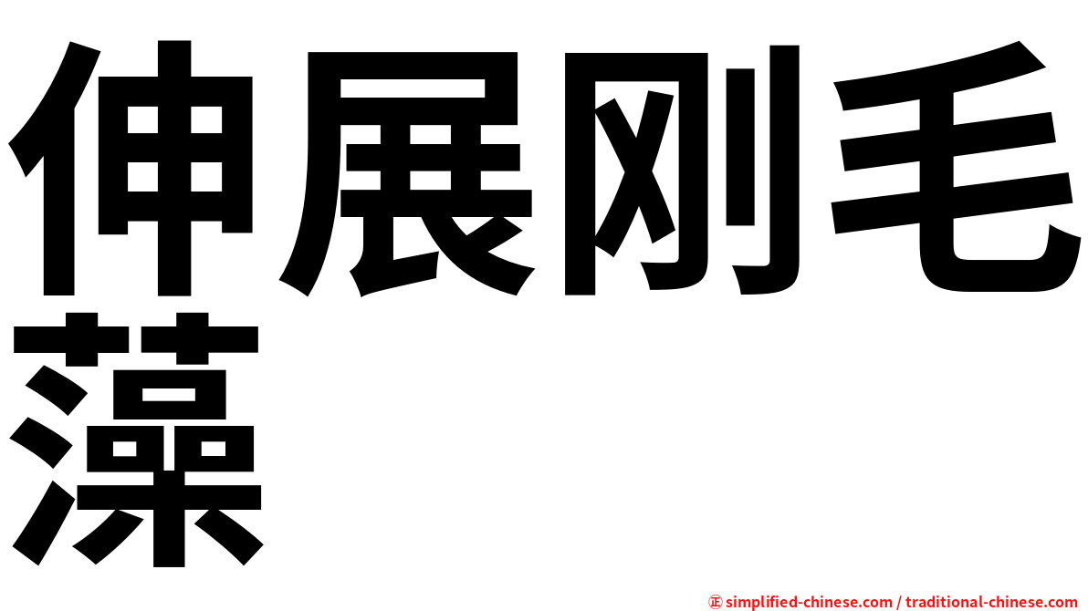 伸展刚毛藻