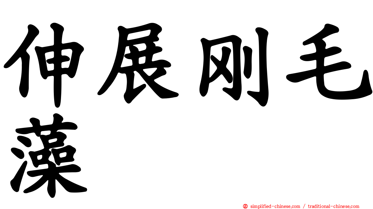 伸展刚毛藻