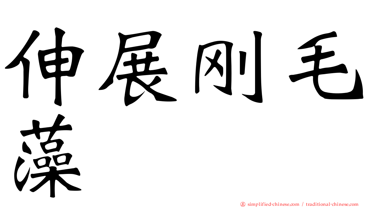 伸展刚毛藻