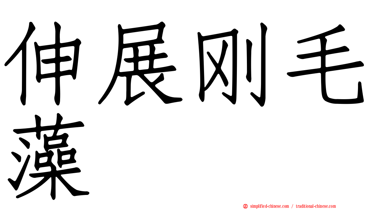 伸展刚毛藻