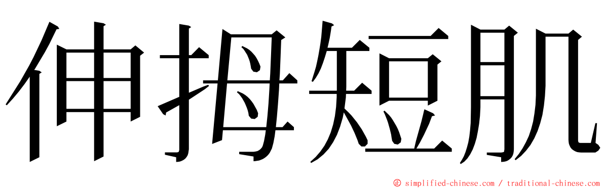 伸拇短肌 ming font